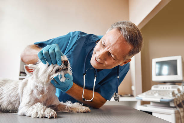 Best 24-Hour Emergency Dentist in San Angelo, TX